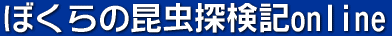 CYXN[EFA for eCu 